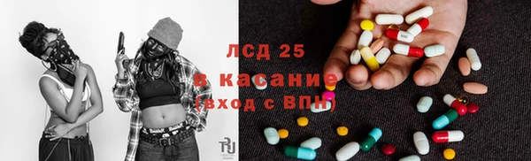 стаф Алзамай