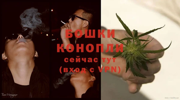 крисы Абдулино