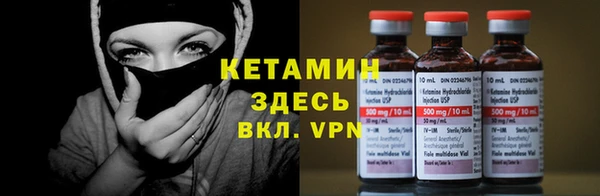стаф Алзамай