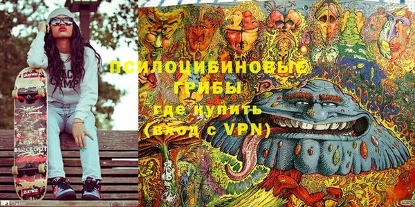 крисы Абдулино